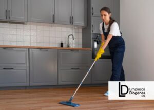 limpieza integral a fondo de viviendas insalubres